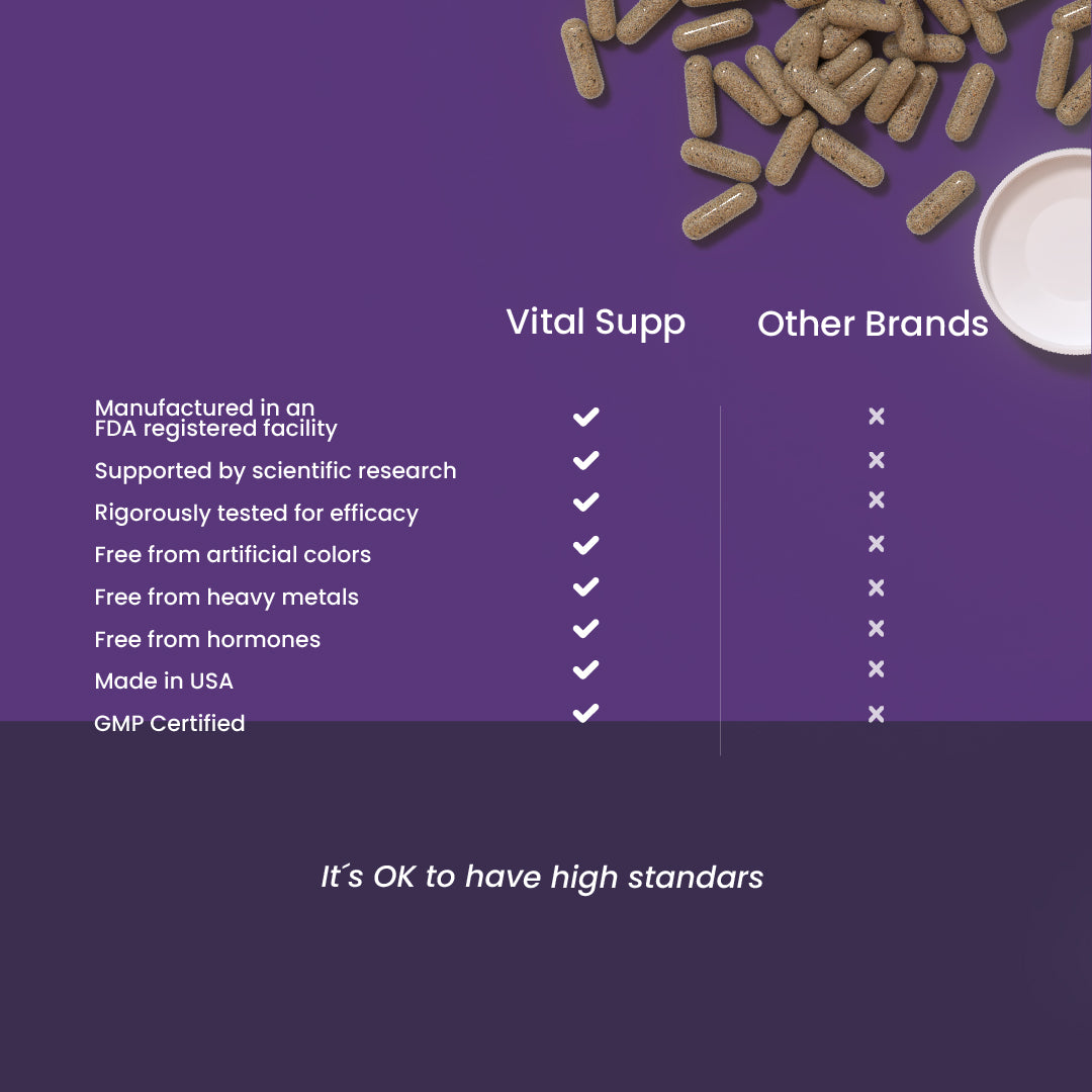 Zleep (sleep support)